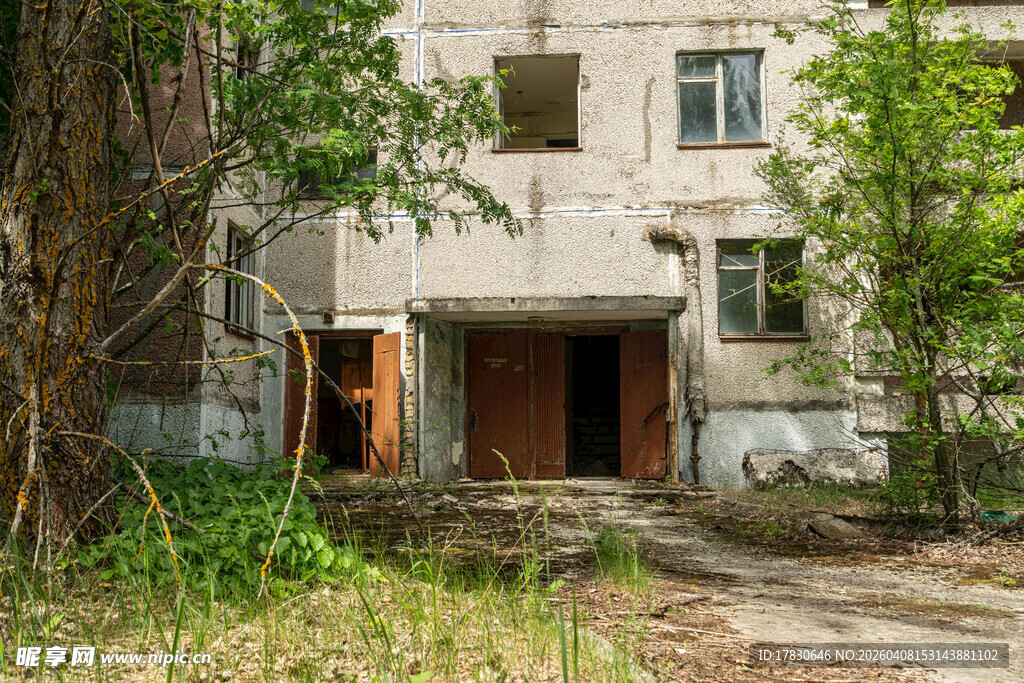 废弃楼房杂草丛生景象