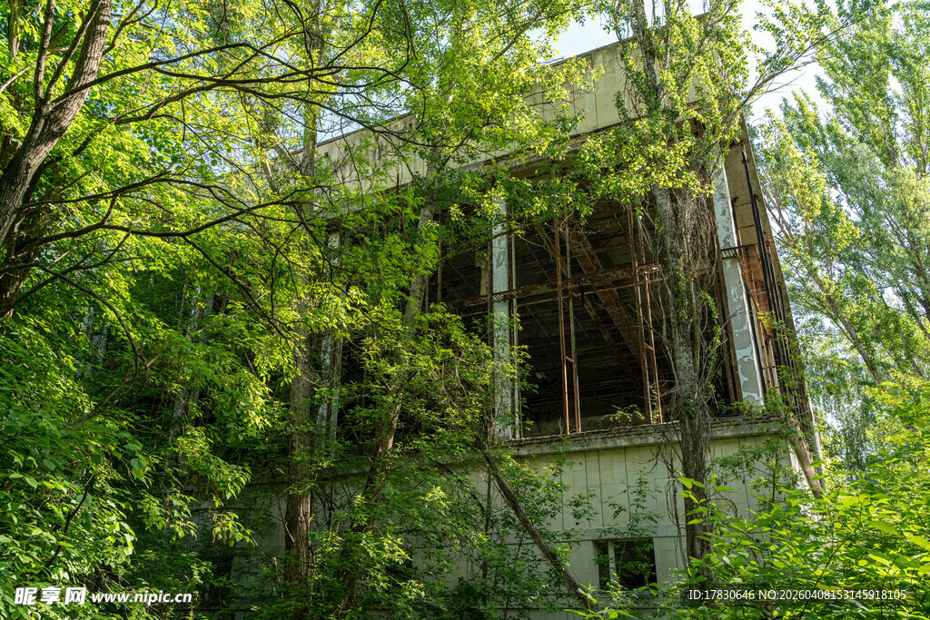 被绿植环绕的废弃房屋