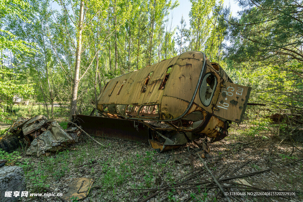 森林中废弃的生锈车辆