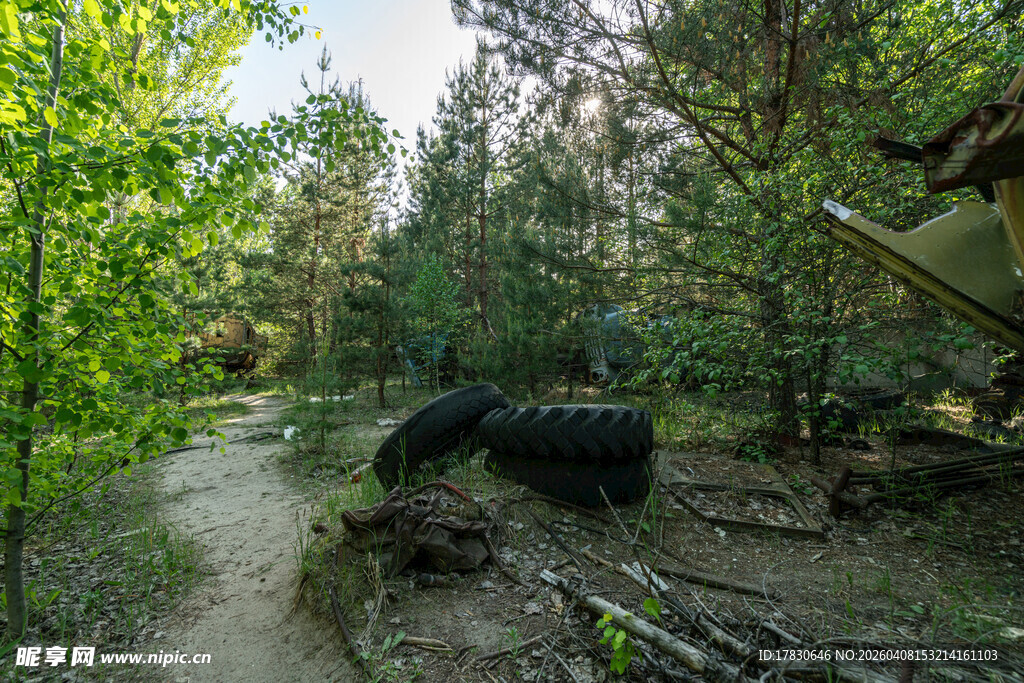 森林中休憩的黑熊