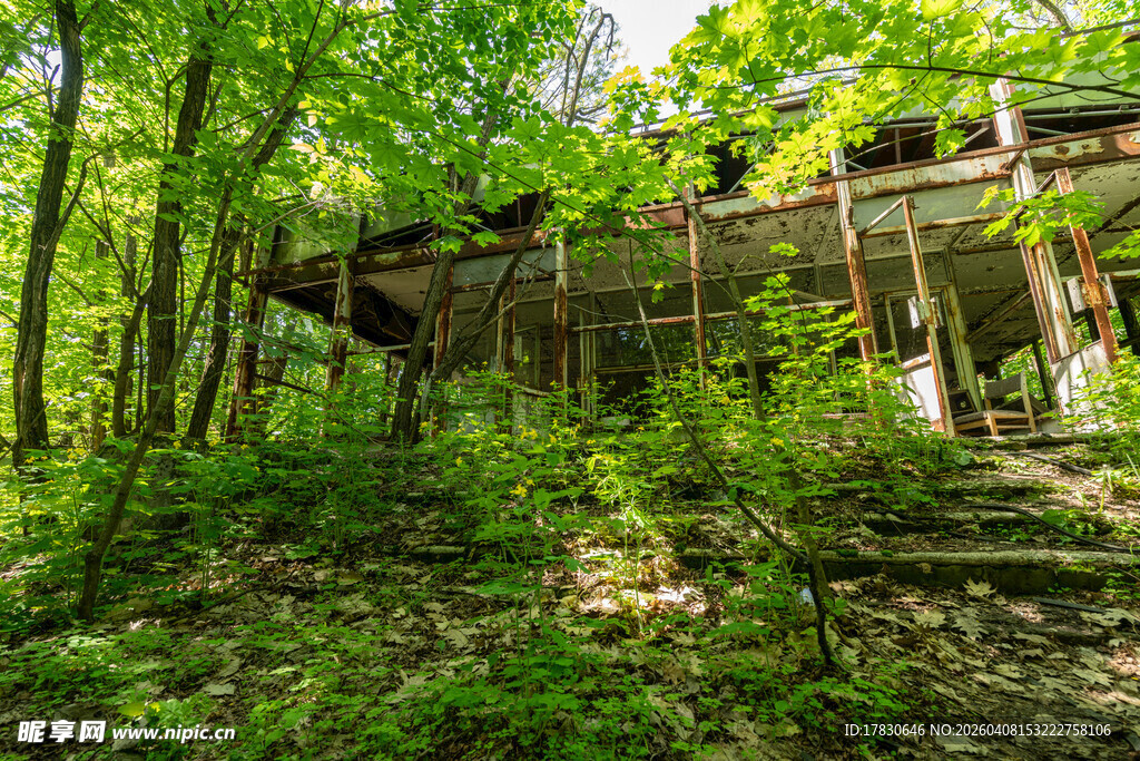 森林中的废弃木屋
