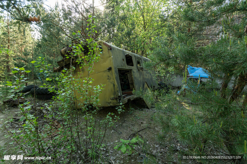 废弃车辆藏身茂密树林中