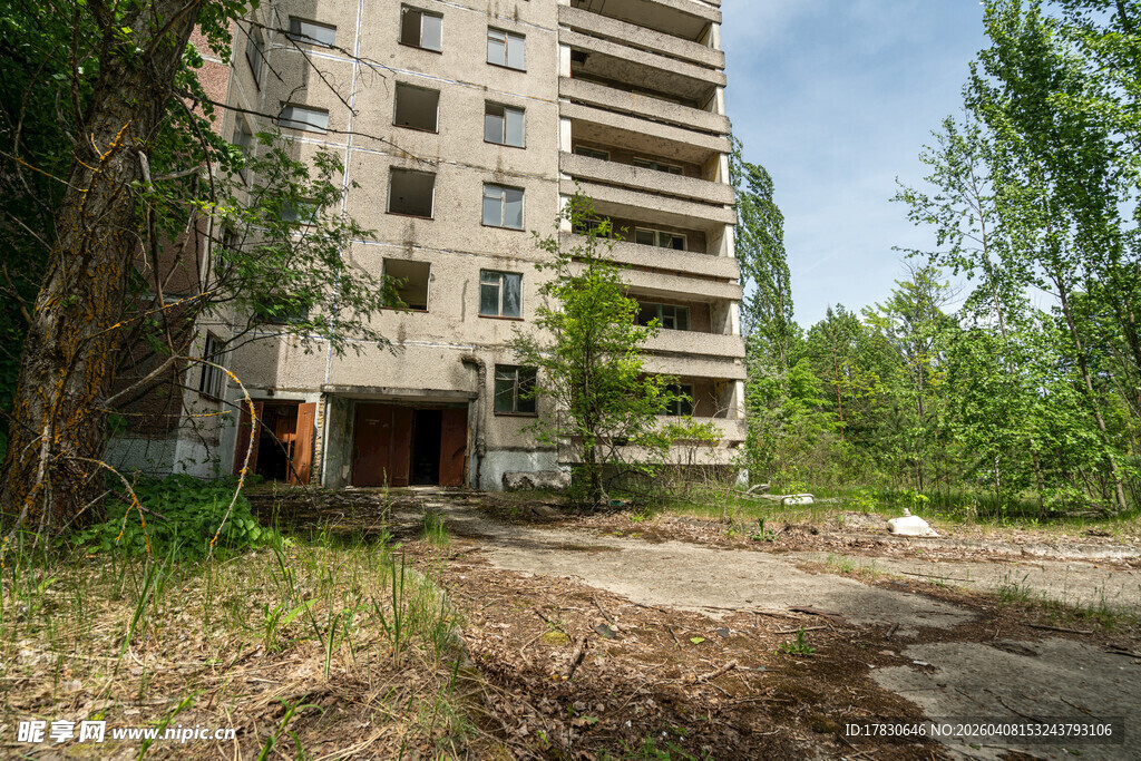 废弃高楼杂草丛生的景象