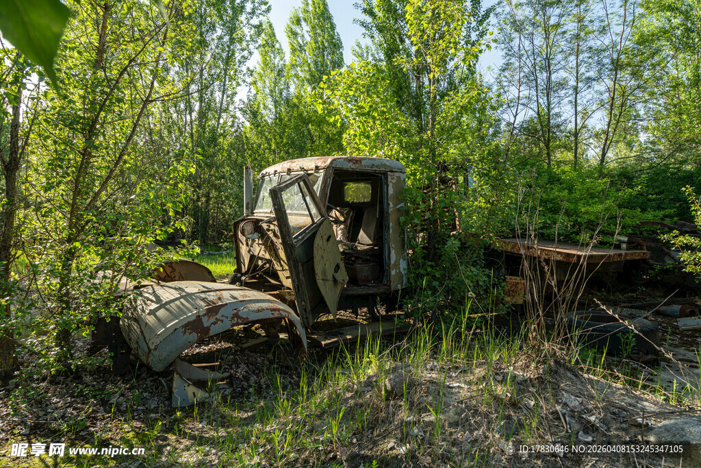 废弃车辆隐匿于林间