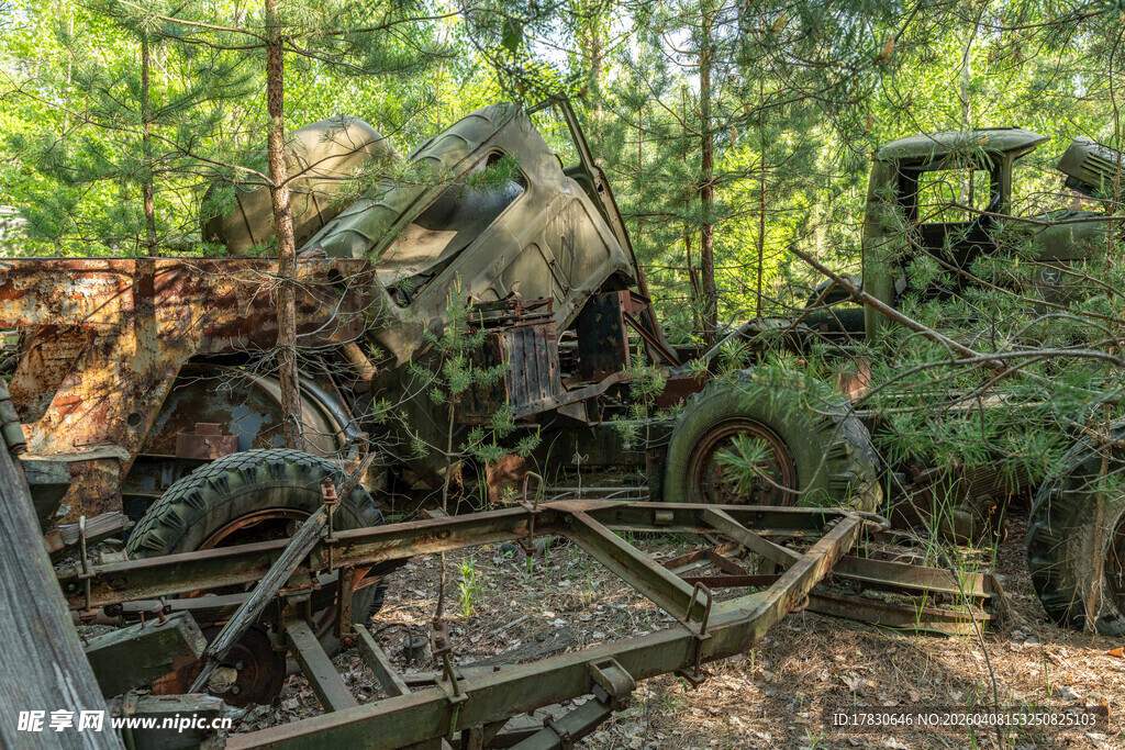 废弃机械藏身繁茂树林中