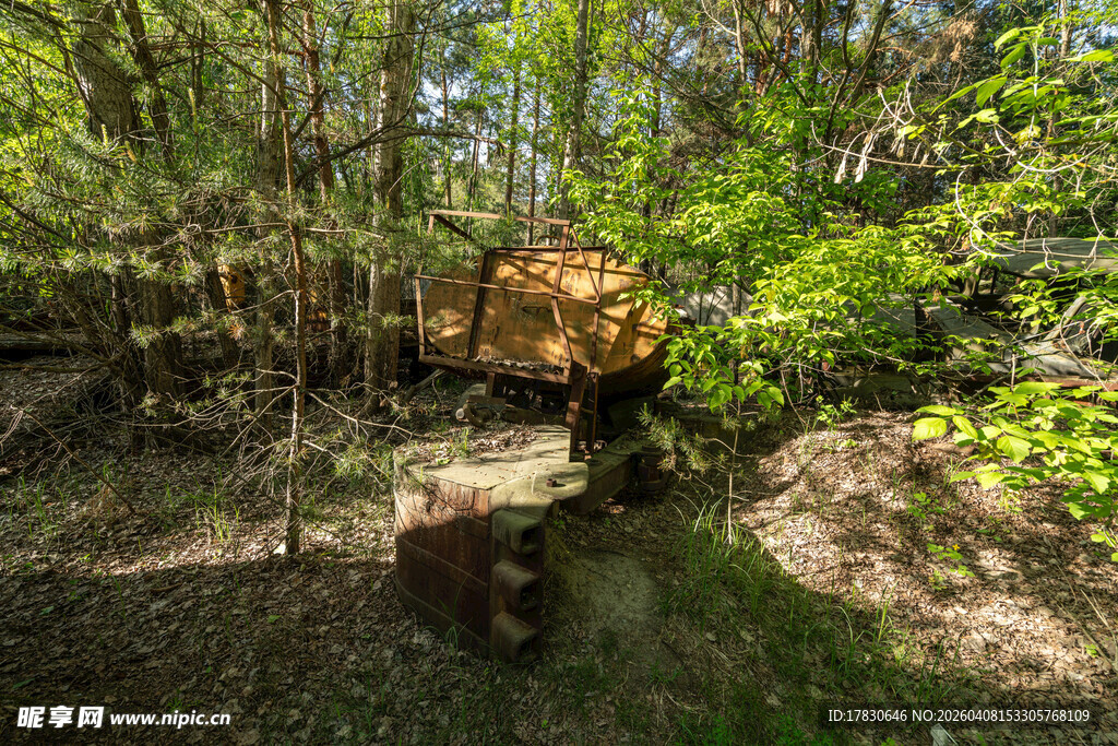 森林中的黄色机械设备