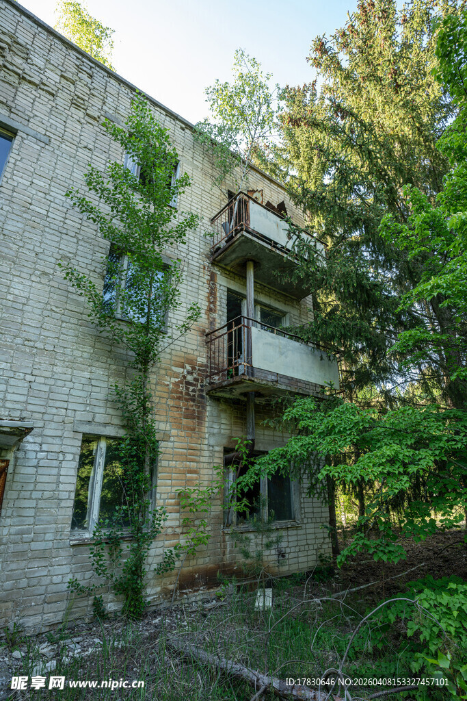 废弃楼房被绿植环绕