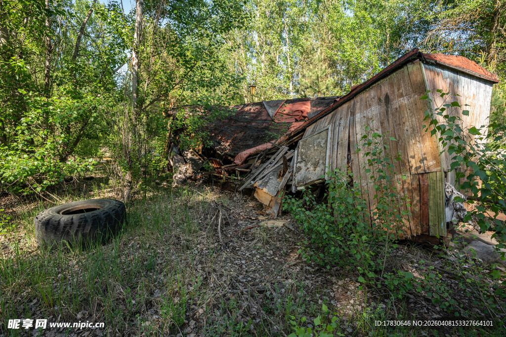 废弃小屋隐于林间