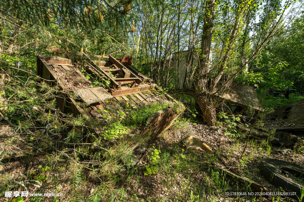 废弃木屋隐于繁茂草木间