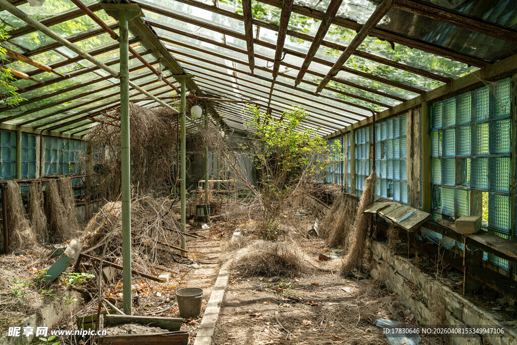 废弃温室绿植荒芜之景