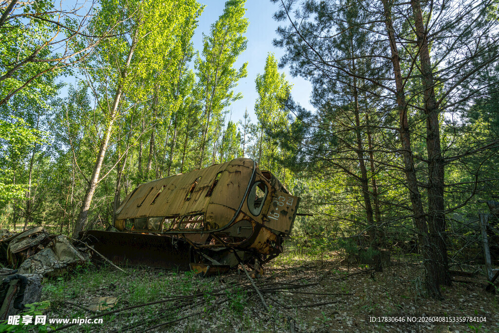 森林中废弃的古老船只