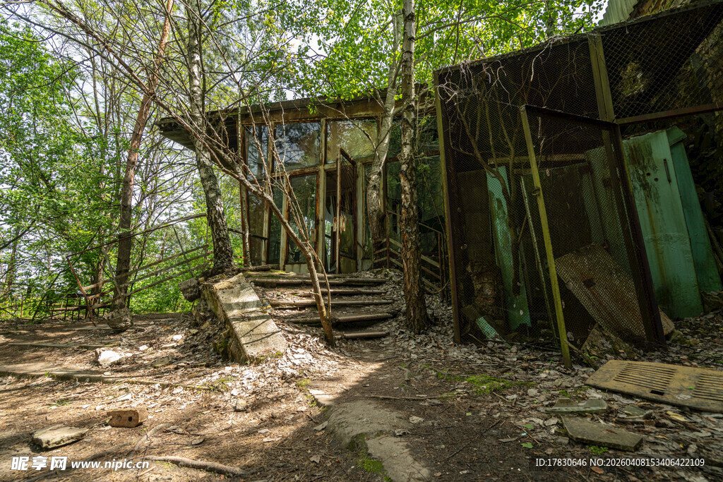 林间废弃木屋自然野趣