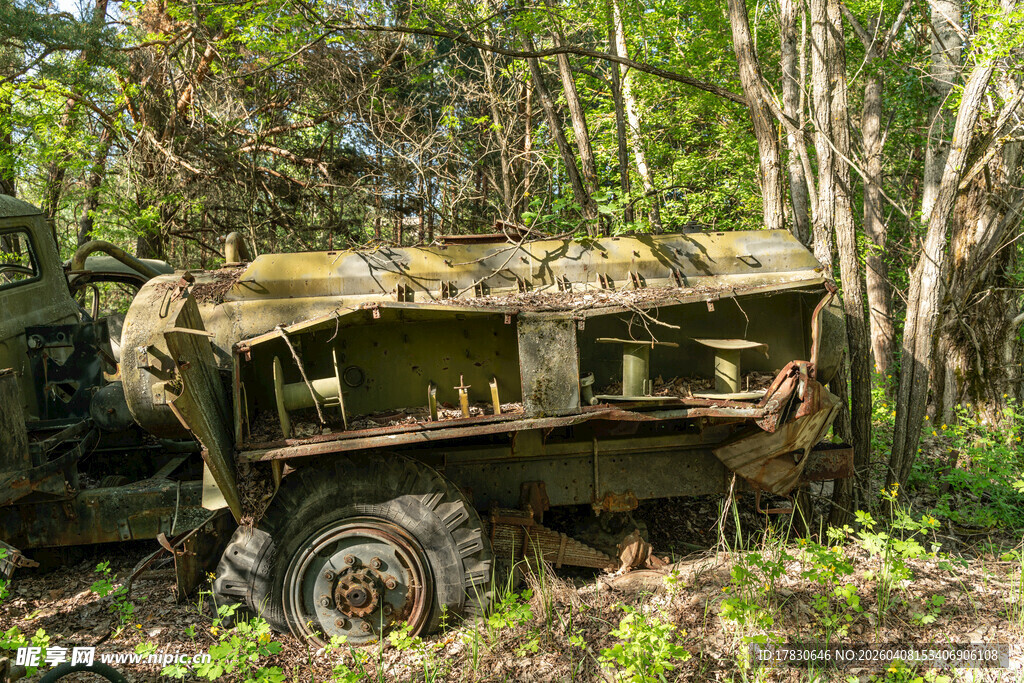 丛林中的废弃老旧车辆