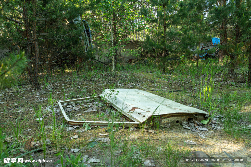 森林中废弃的金属框架