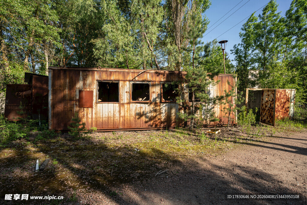 废弃木屋隐于葱郁树林