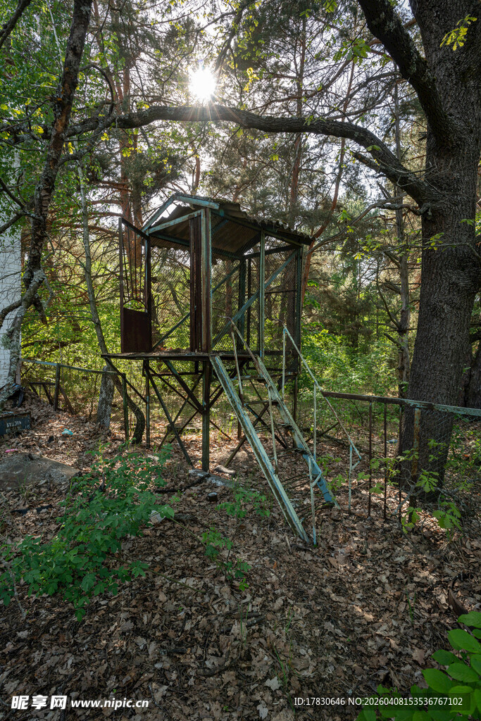 林间复古秋千架