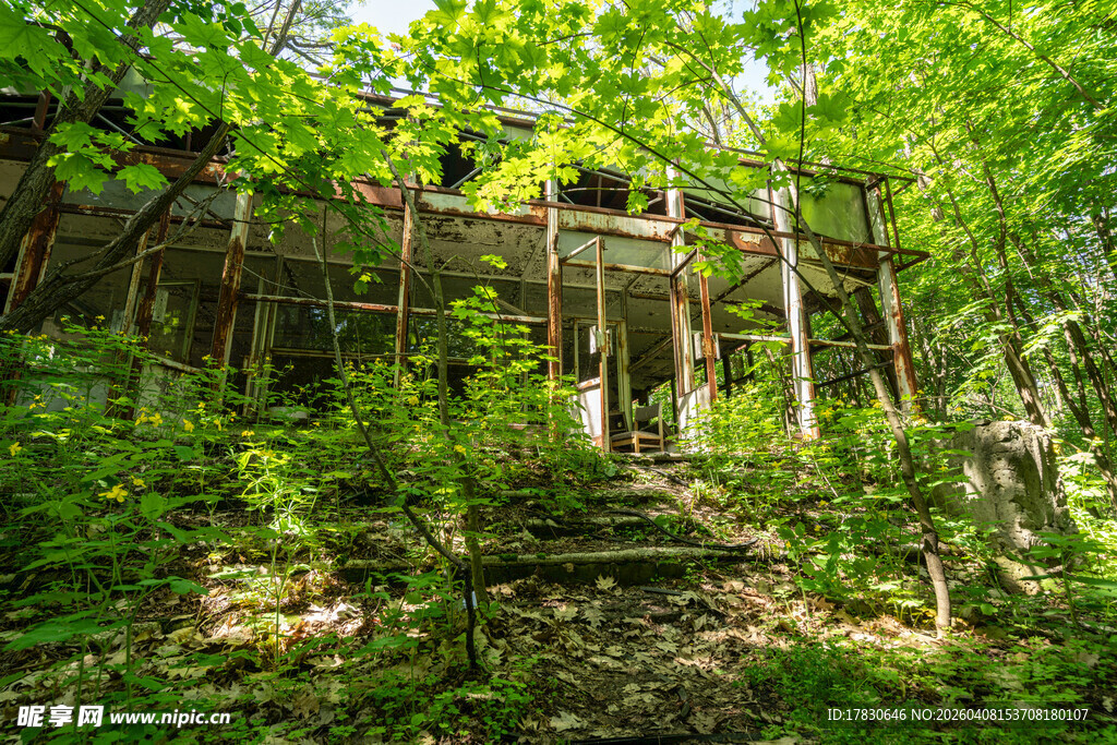 林间废弃建筑绿植环绕