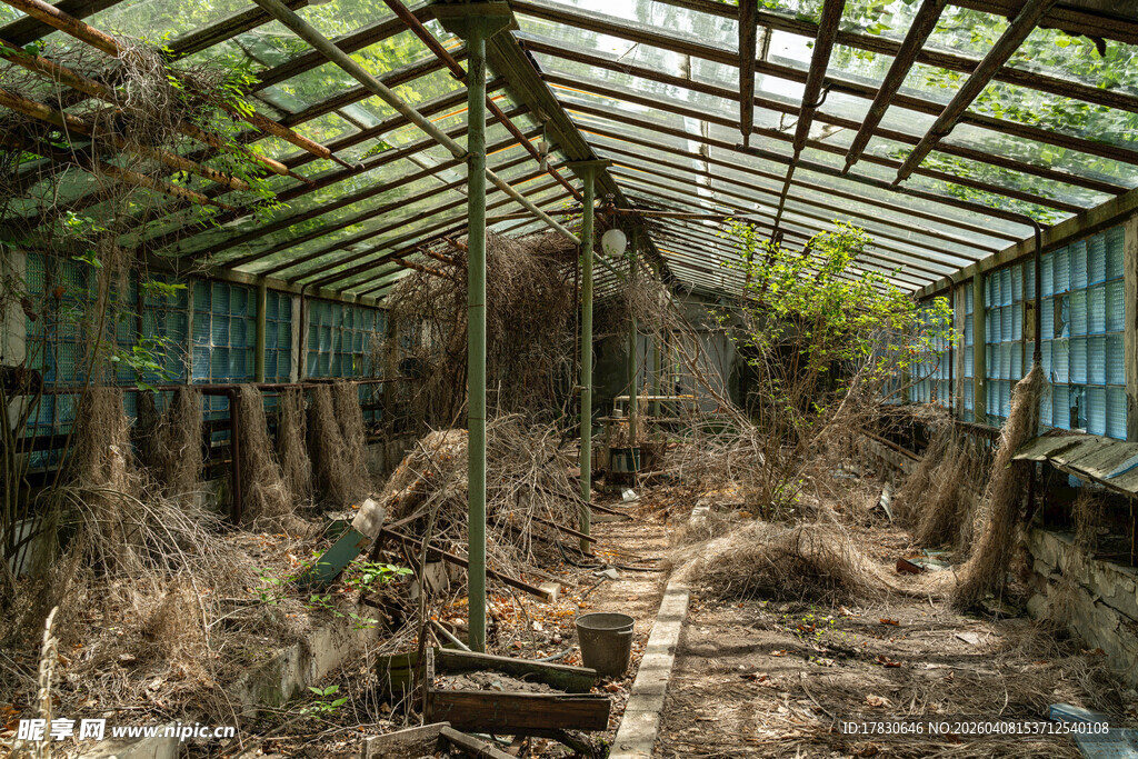 废弃温室中的荒芜景象