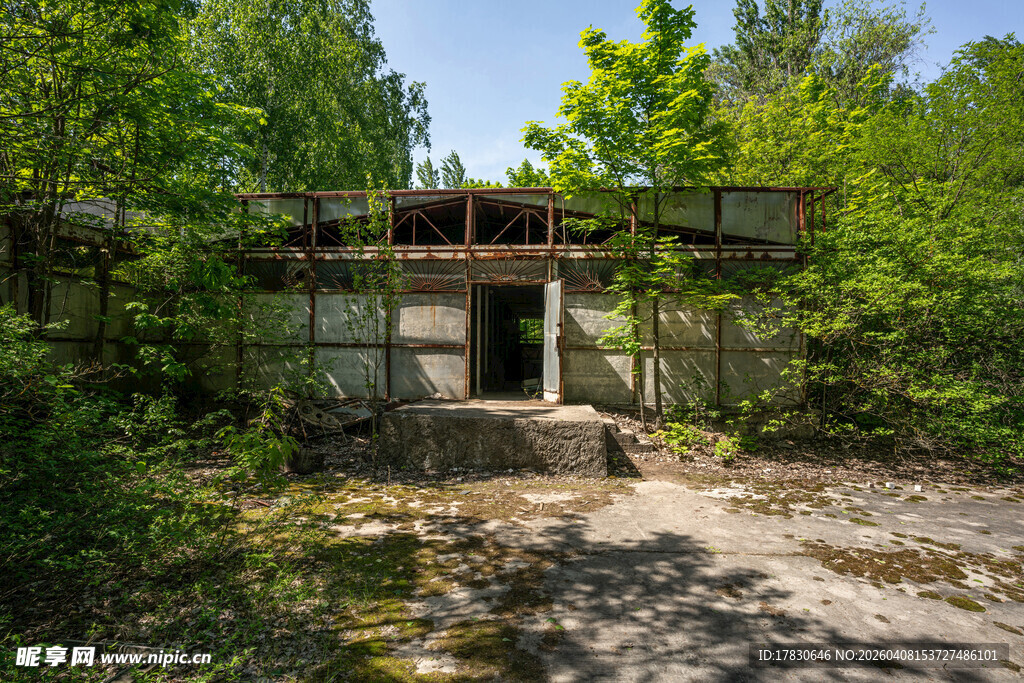 废弃房屋隐于葱郁树林中