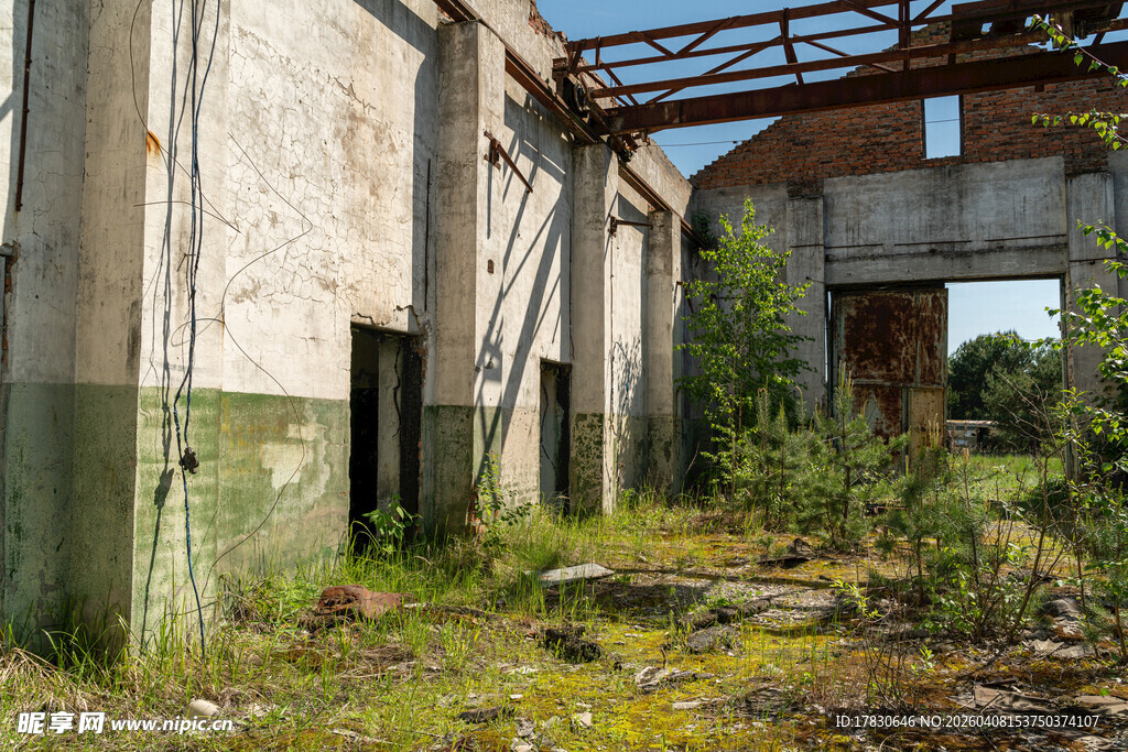 废弃厂房的荒芜景象