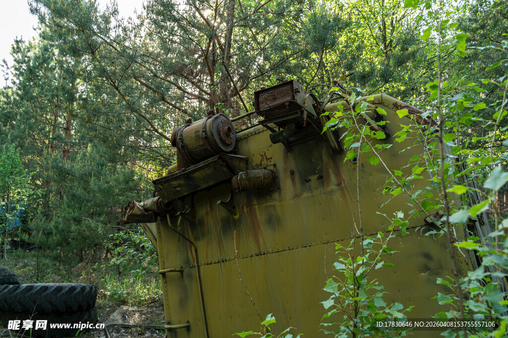 荒废小屋隐于葱郁树林中