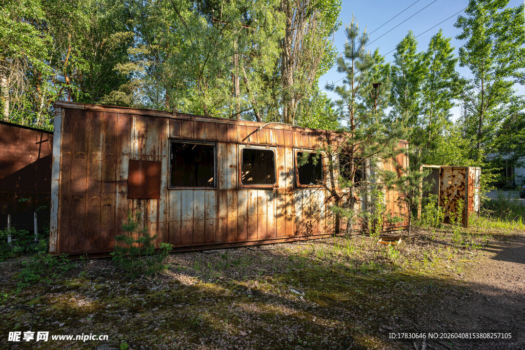废弃生锈小屋隐于林间
