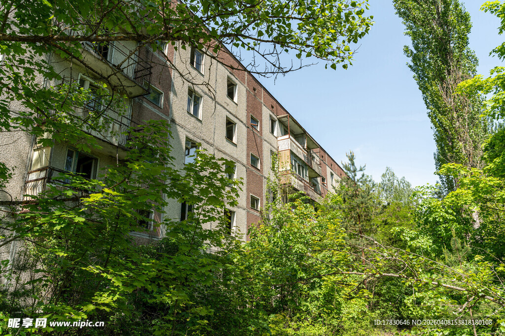 废弃楼房被绿植环绕