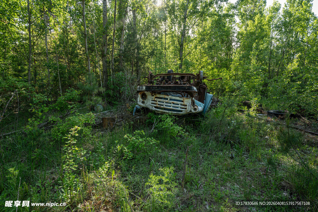 森林中废弃的老旧汽车