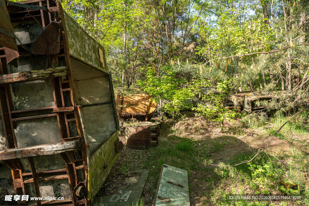 废弃建筑旁的繁茂绿植