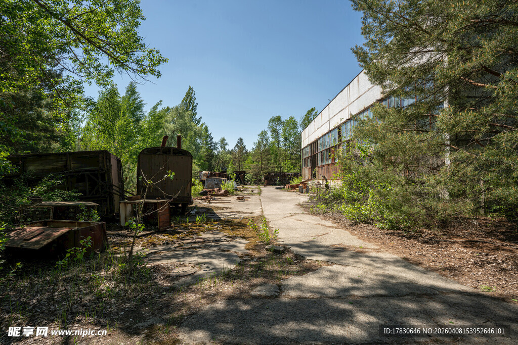 林间小道旁的废弃场景
