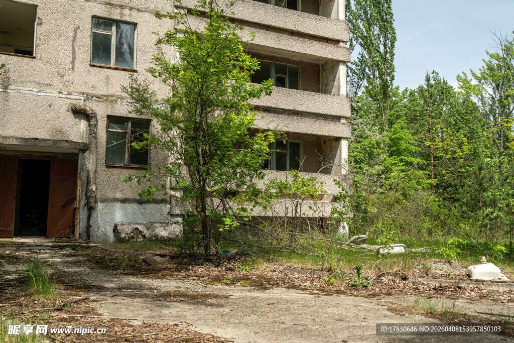 废弃楼房旁的绿树杂草