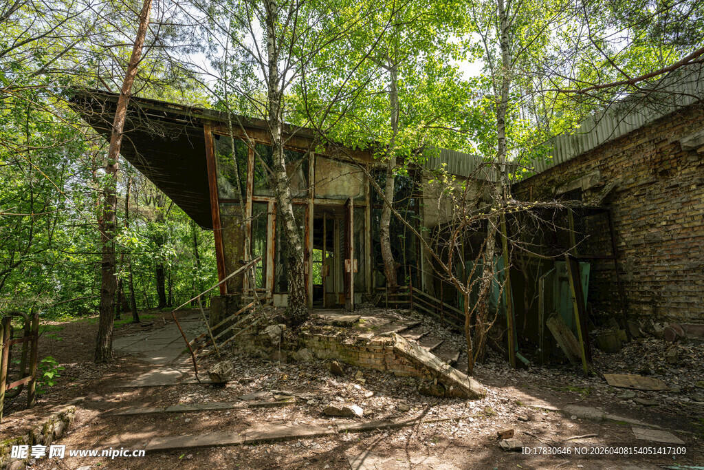 林中废弃建筑遗迹