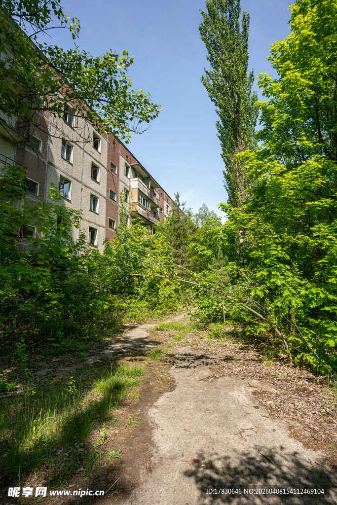 废弃楼房旁的杂草小径