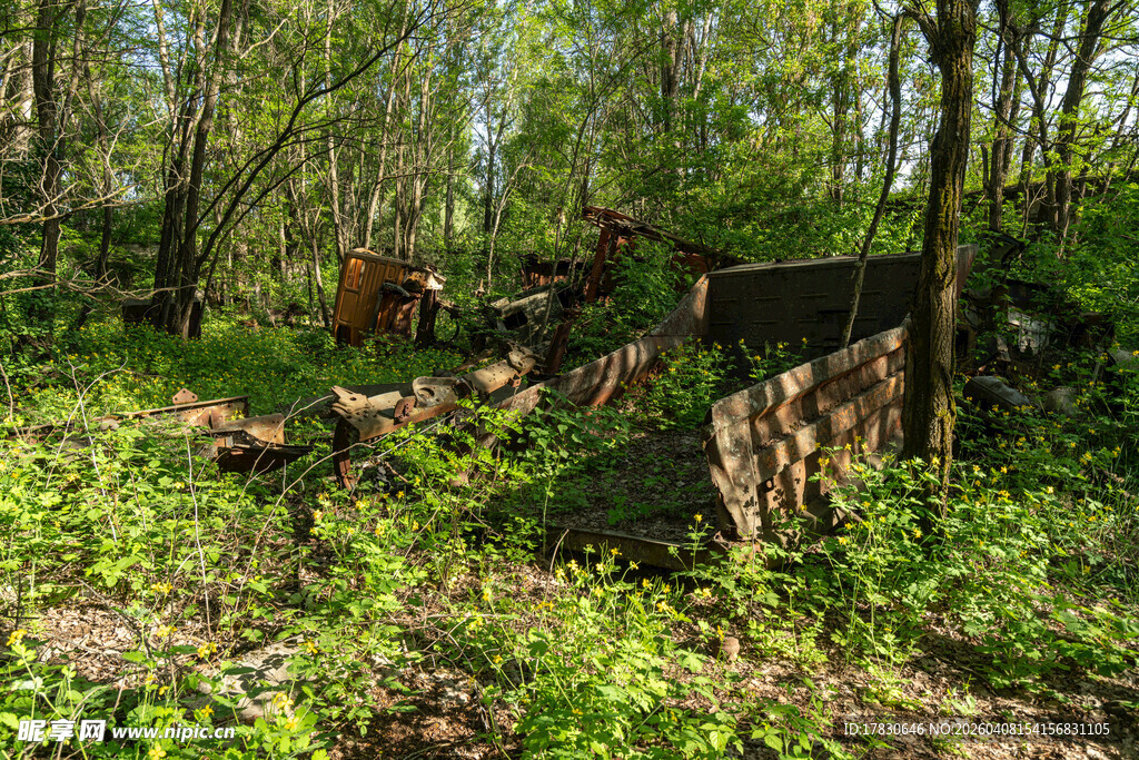 森林中的废弃建筑遗迹