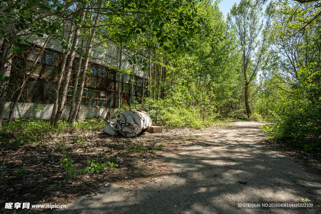 林间废弃小屋与蜿蜒小路