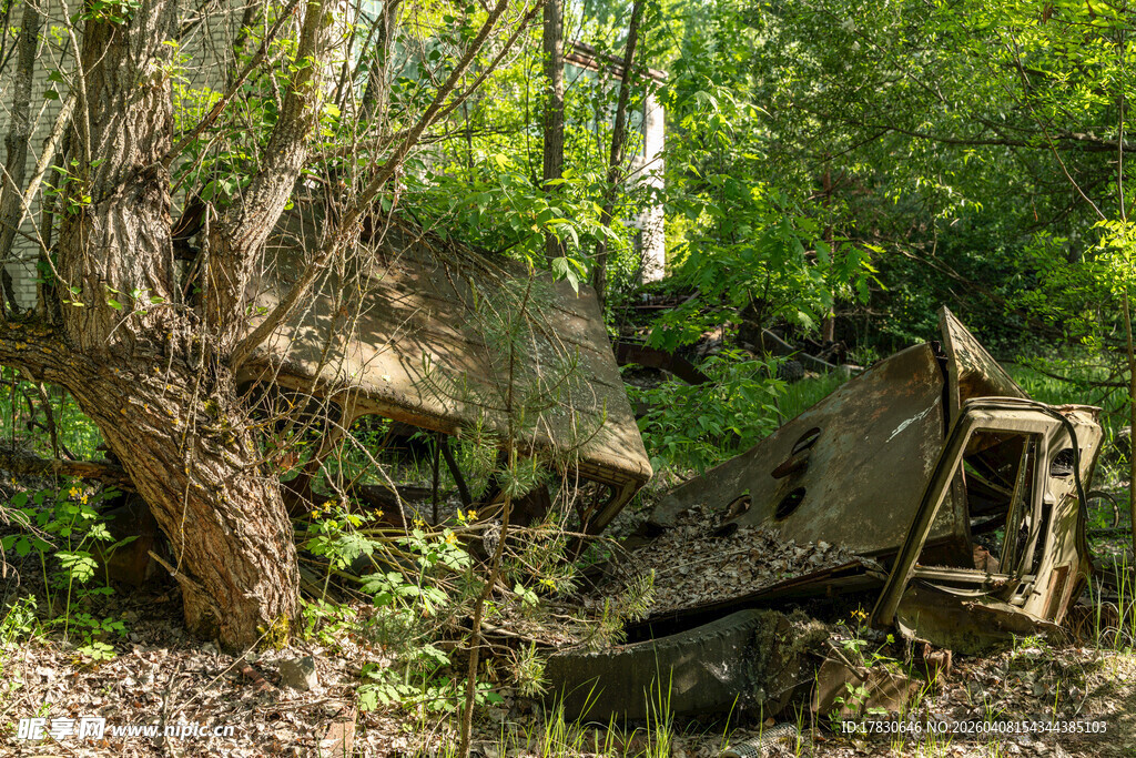森林中废弃的老旧机械残骸
