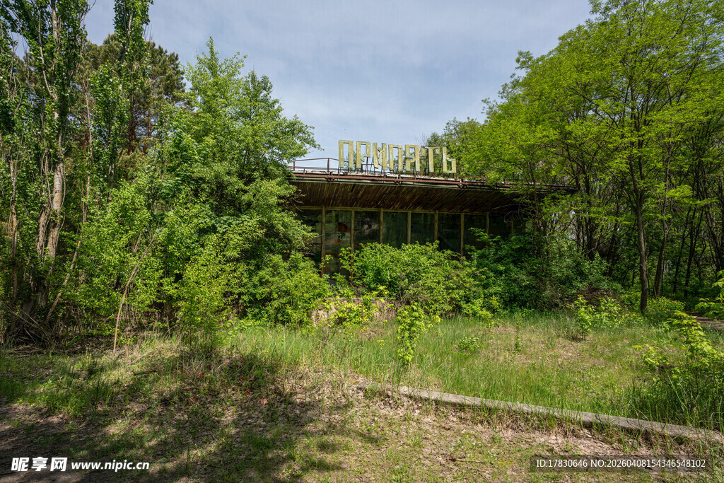 荒废树林中的废弃桥梁
