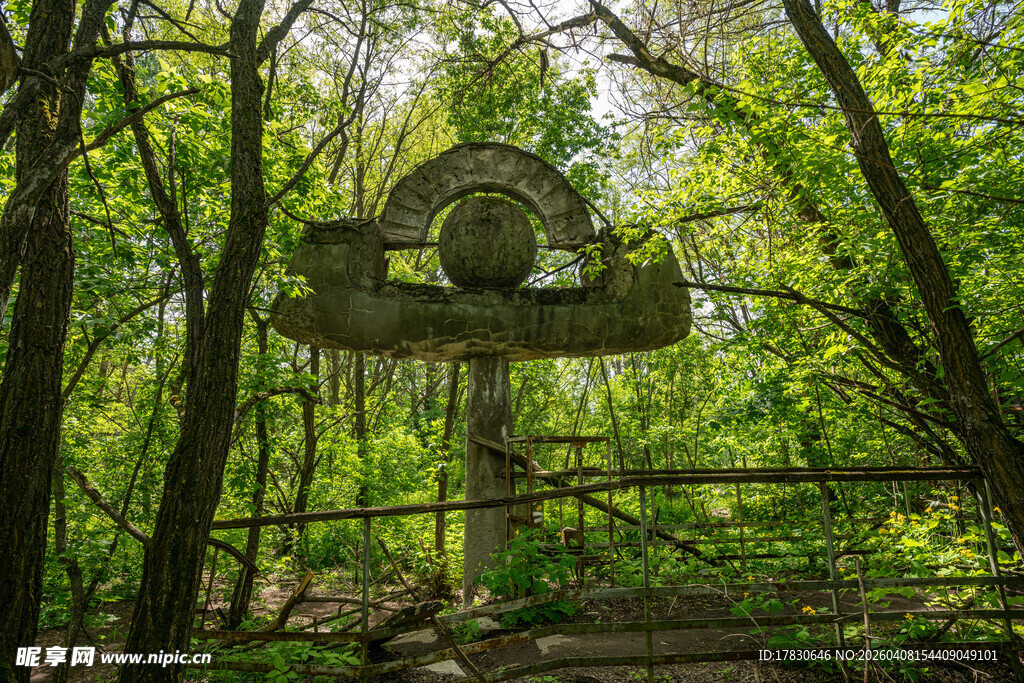 森林中的古朴木质标志牌