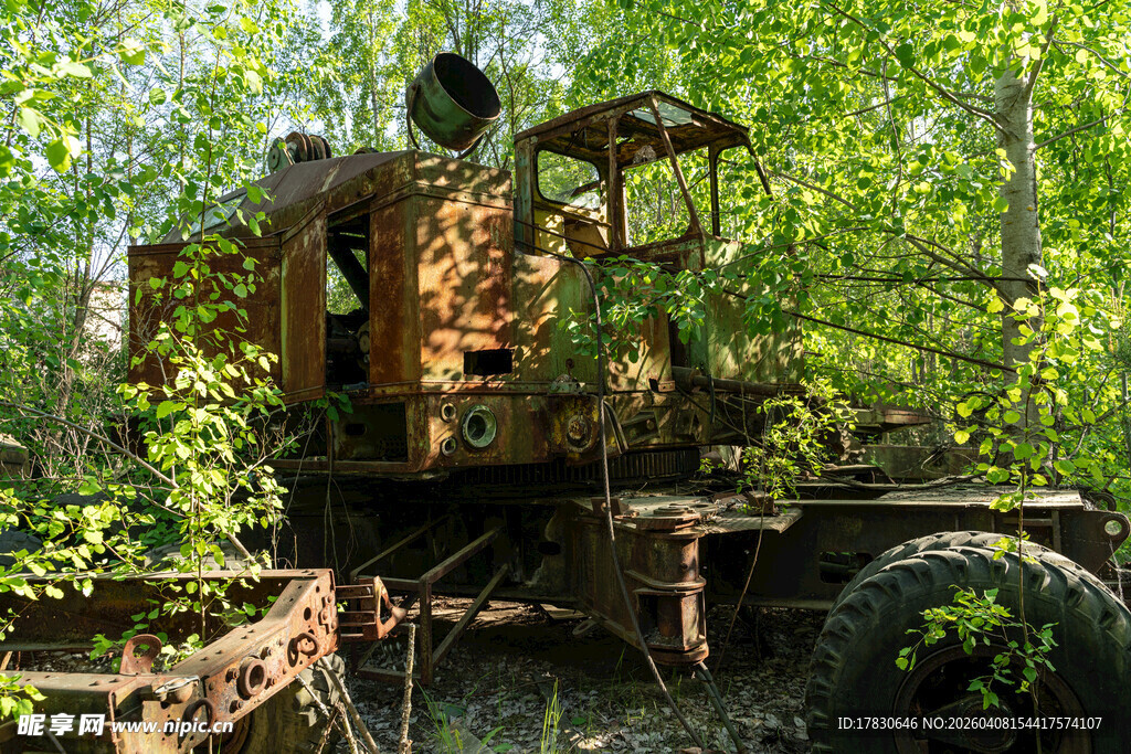 丛林中的废弃工程机械