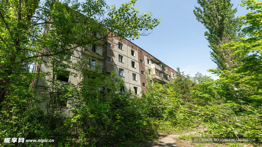 废弃楼房被绿植环绕