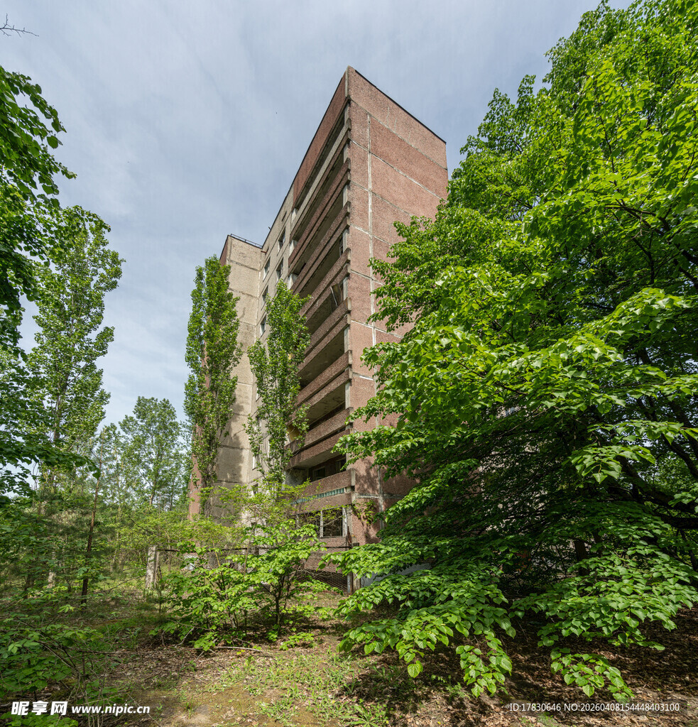 废弃楼房被绿植环绕