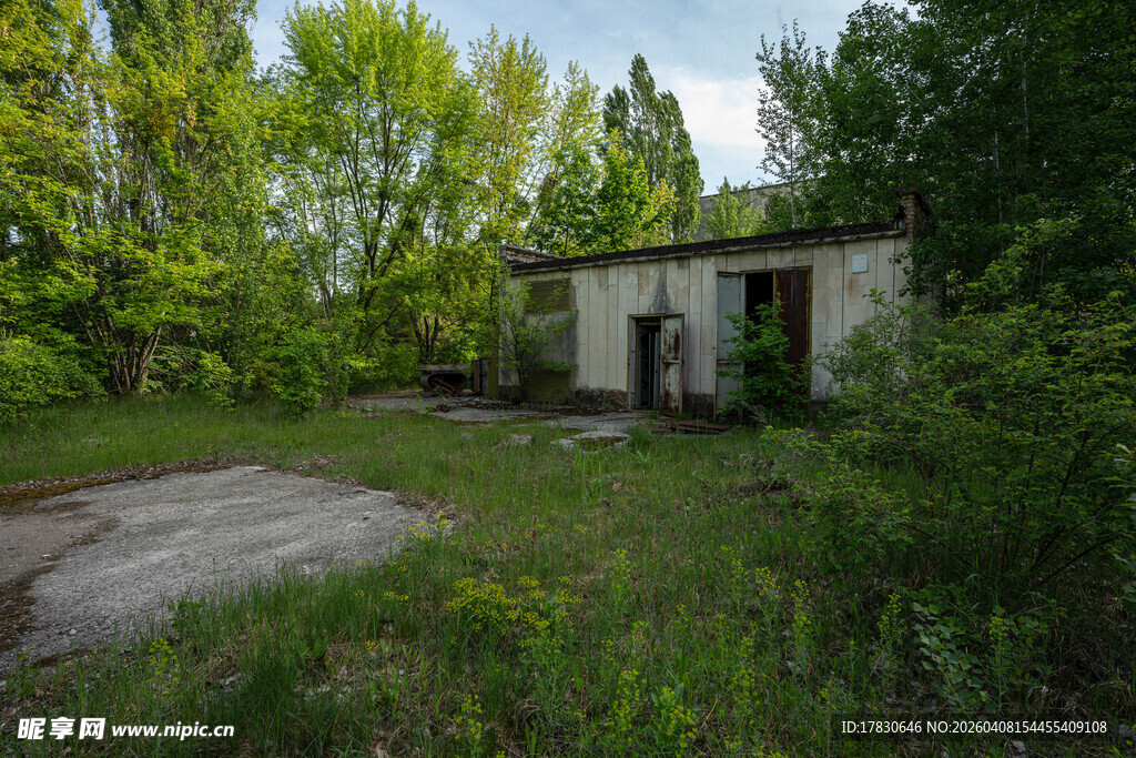 荒废小屋隐于葱郁林间