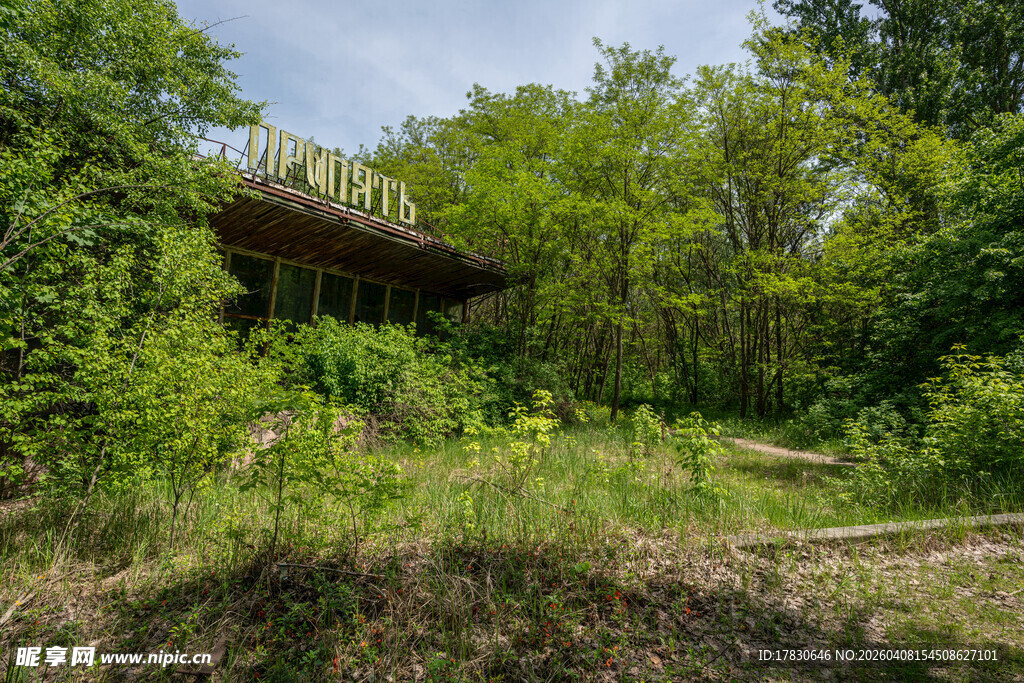 林间废弃建筑隐于葱郁草木