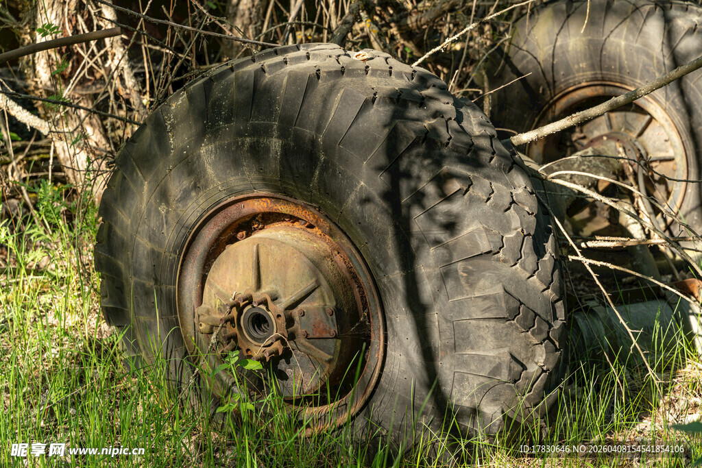 废弃轮胎躺于杂草丛中
