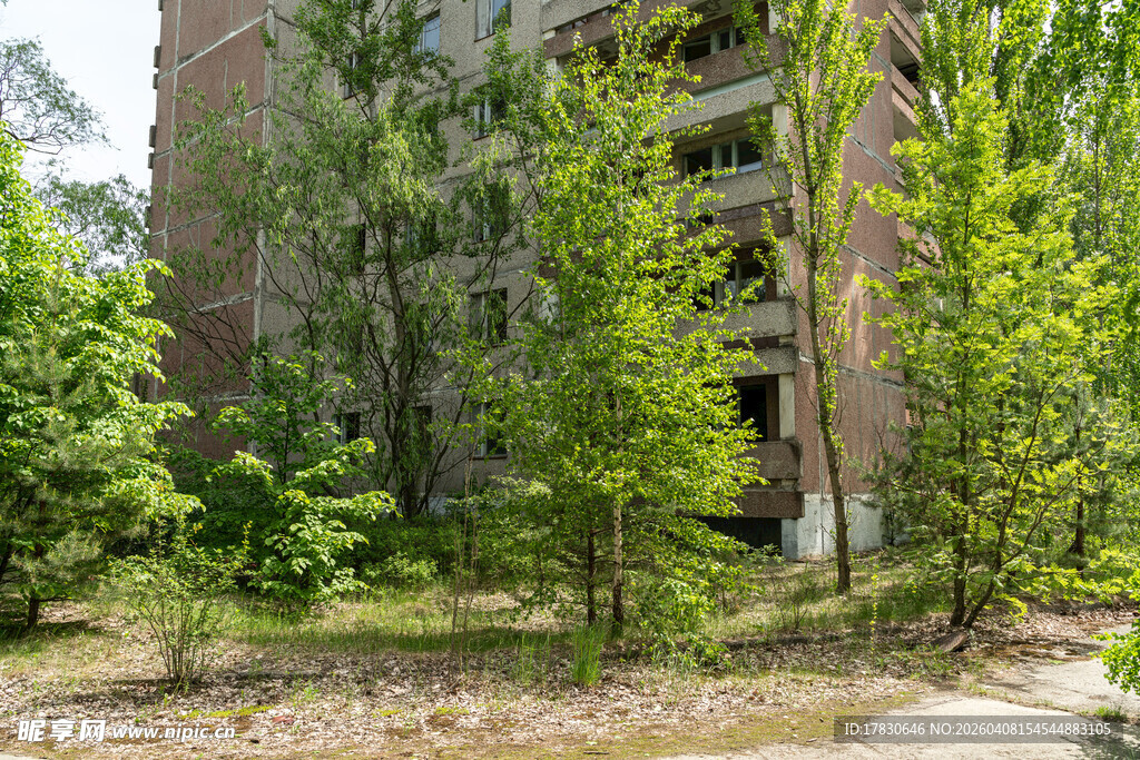 废弃建筑旁的葱郁绿树