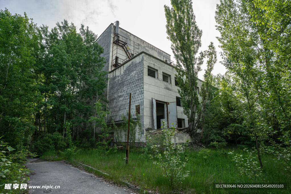 废弃房屋隐于葱郁树林中