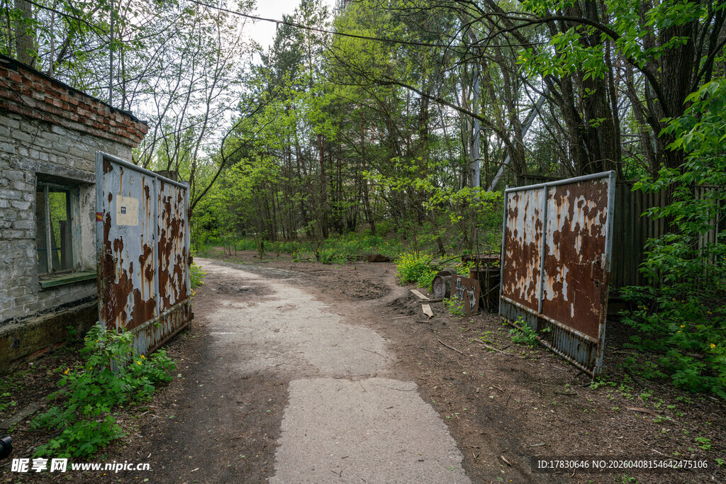 废弃小屋旁的林间小径