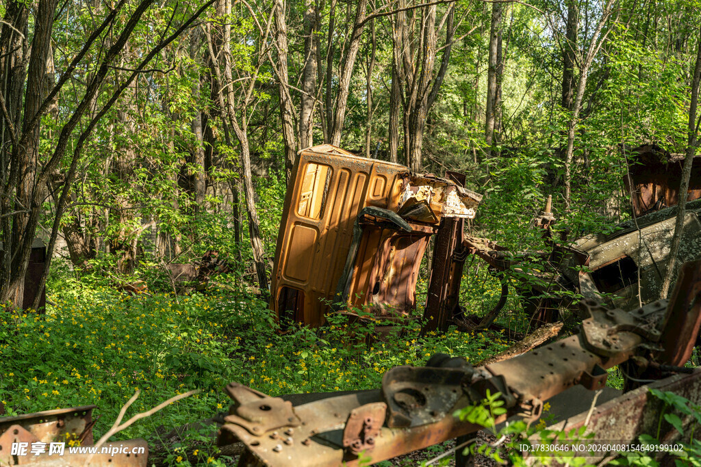 森林中的废弃木屋遗迹