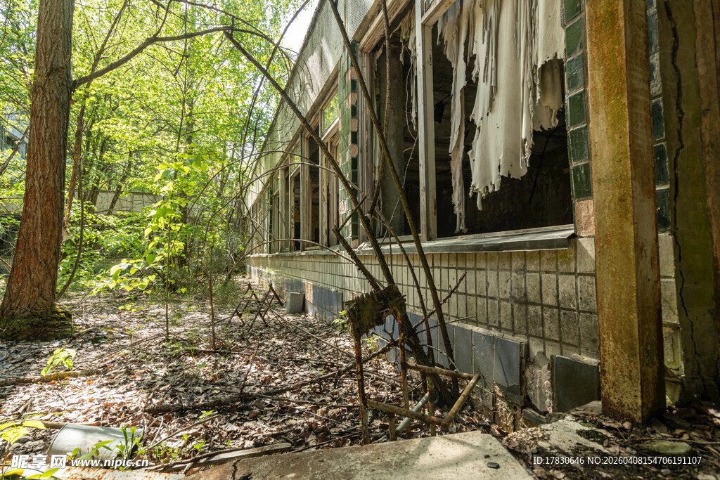 废弃林间建筑尽显沧桑