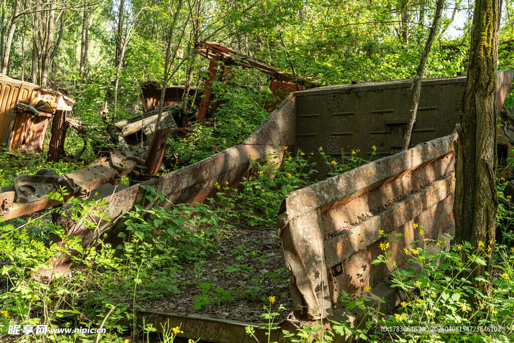 废弃建筑被绿植覆盖